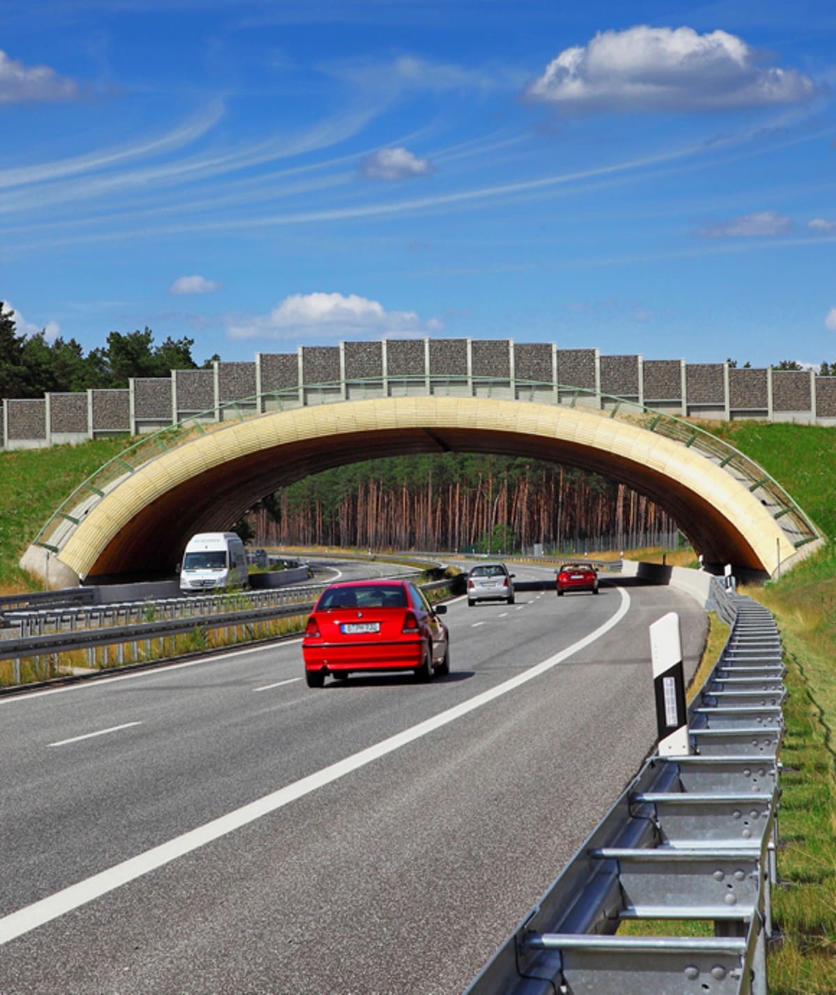 Abb. 10: Grünbrücke über die B101 bei Luckenwalde (Foto: René Legrand)